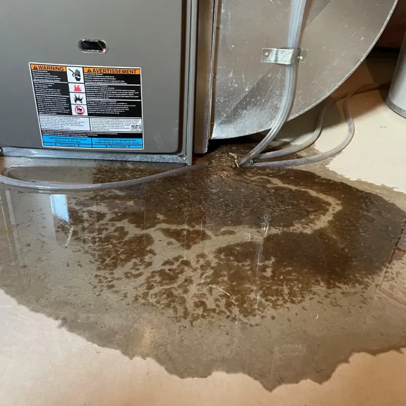 Appliance Leak Cleanup in Pahala, HI