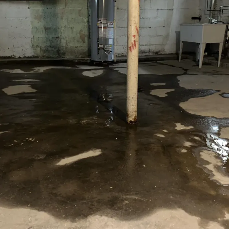 Emergency Water Extraction And Removal in Pahala, HI